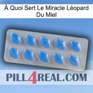 À Quoi Sert Le Miracle Léopard Du Miel 22